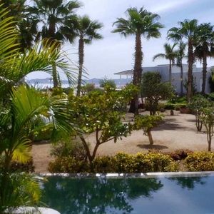 Meet your Posher, Bert